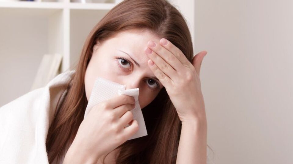 Domuz gribine karşı 6 kritik kente grip timi