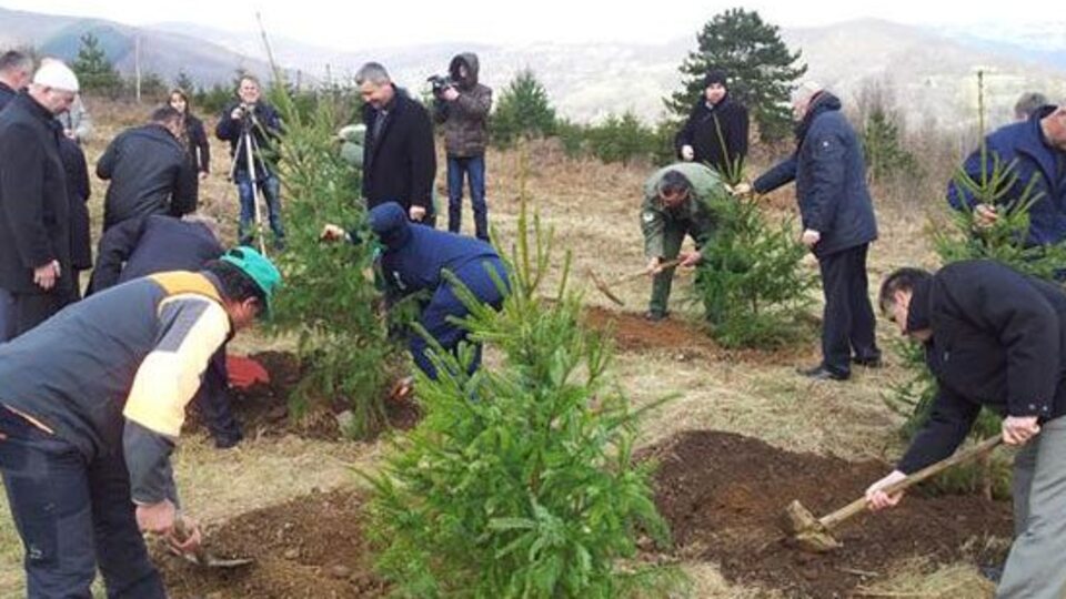 Srebrenitsa için hatıra ormanı