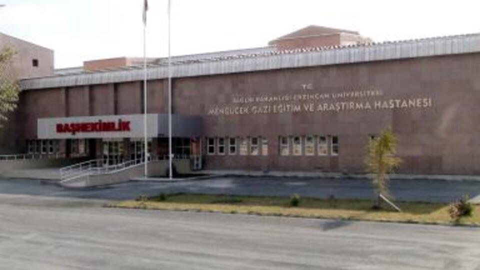 Erzincan'da domuz gribinden ölüm
