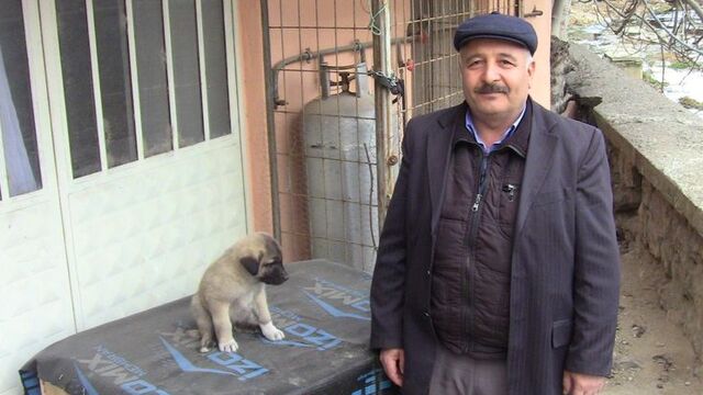 Hırsızlar bunu da yaptı!