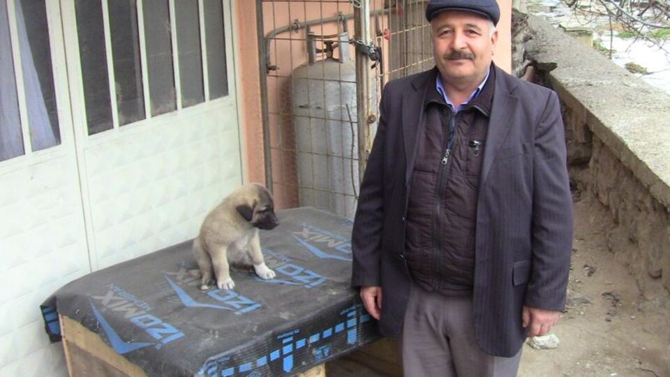 Hırsızlar bunu da yaptı!