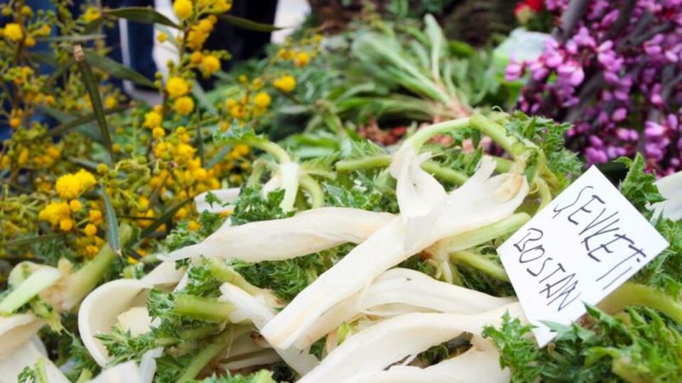 Bu otlar şifa deposu!