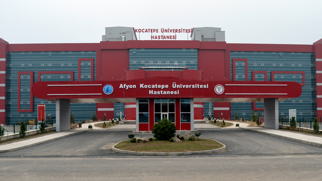 Afyon'da domuz gribi şüphesi