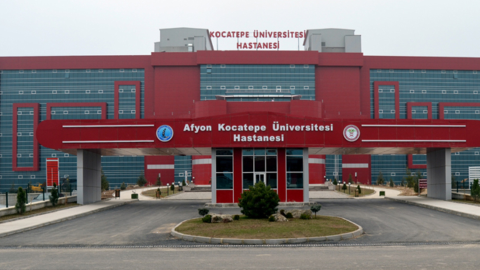 Afyon'da domuz gribi şüphesi