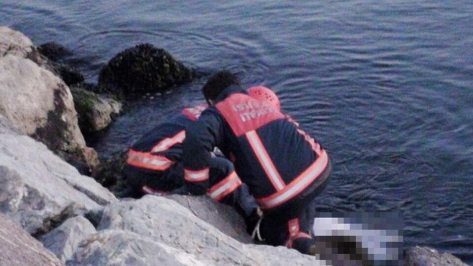 Şok görüntü! Kayalıklara sıkışmış halde bulundu