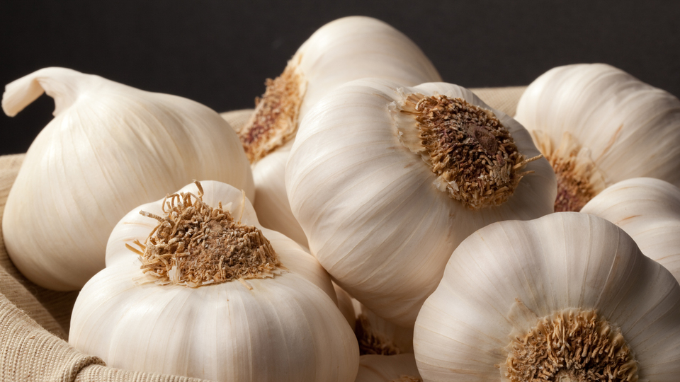 Gripten sarımsakla korunun!