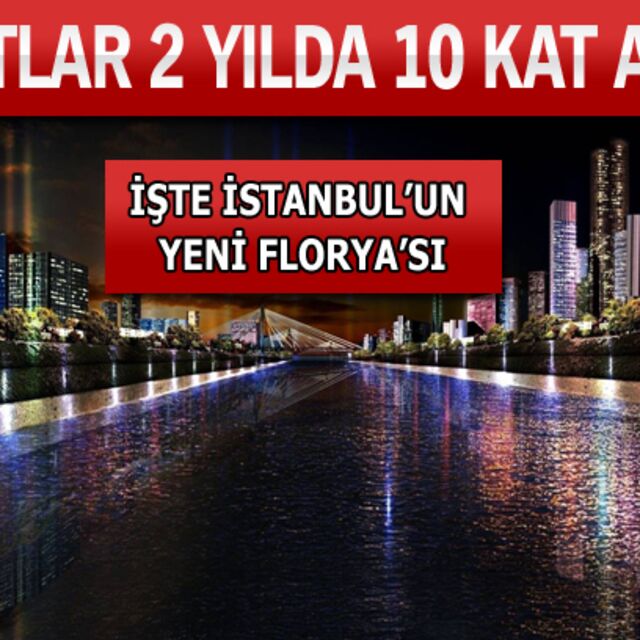 Çılgın yabancılar!