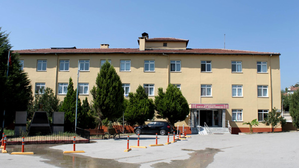 Sakarya'da13 kişide domuz gribi şüphesi!