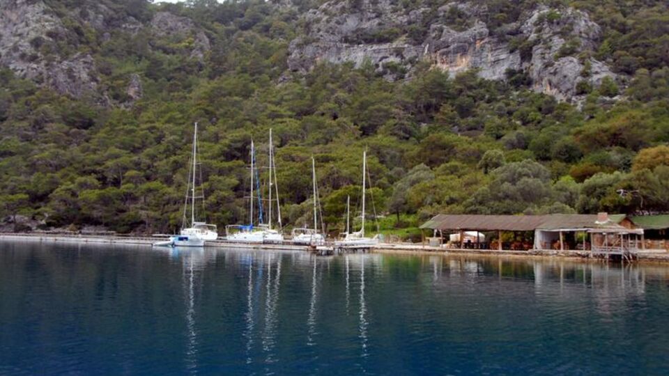 Her iki koyun ihalesini de kafe işletmecisi kazandı