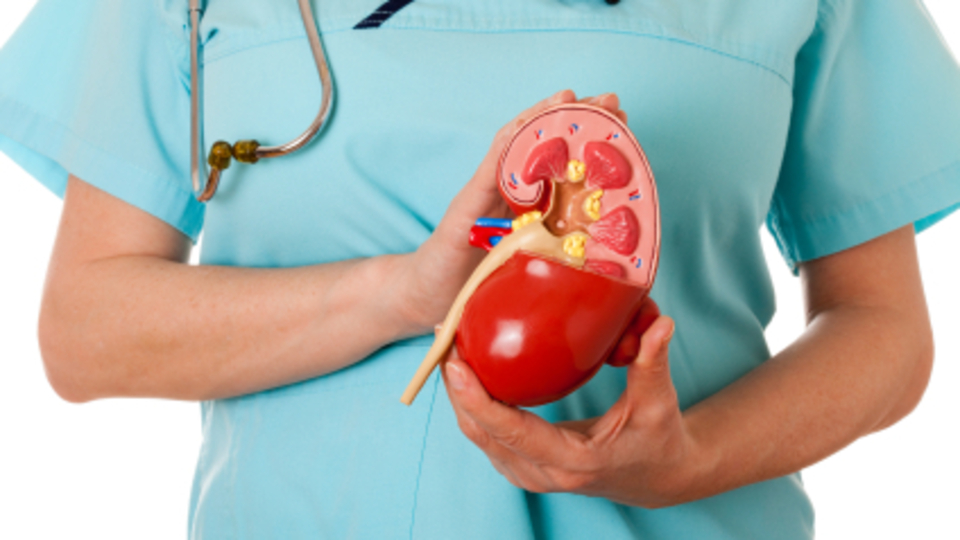 'Vajinadan böbrek nakli' ödül getirdi