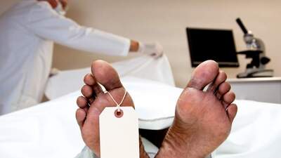 Domuz gribi kronik hastalıkla birlikte ölümcül olabiliyor!