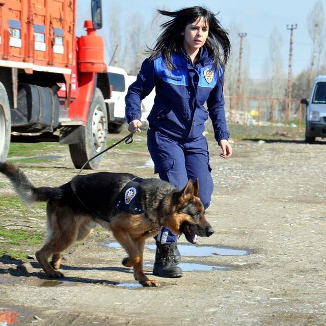 'Zeus' ve 'Oskar' kaçakçıların kâbusu oldu