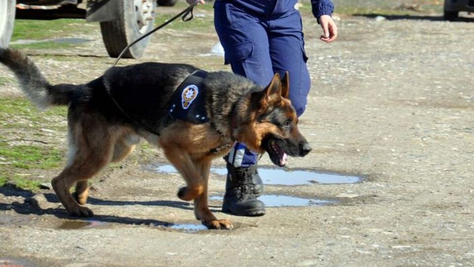 'Zeus' ve 'Oskar' kaçakçıların kâbusu oldu