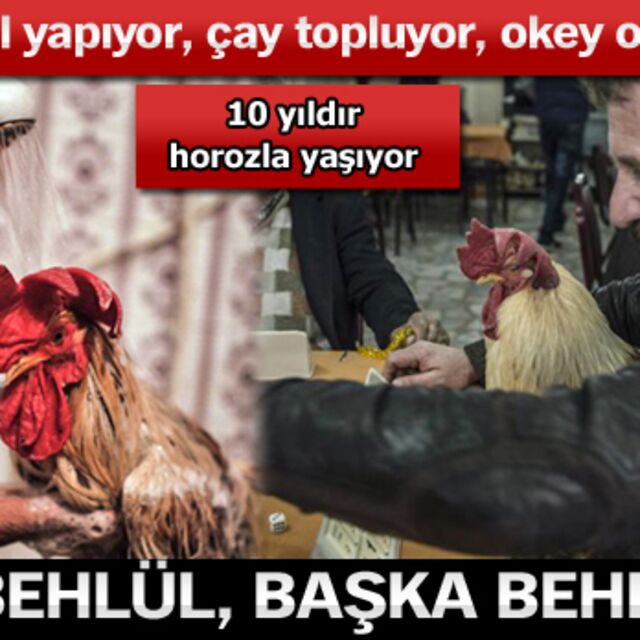 Bu Behlül başka Behlül!