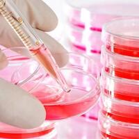 "İlaçlarla tedavi, bazı hastalıklarda kalkacak"