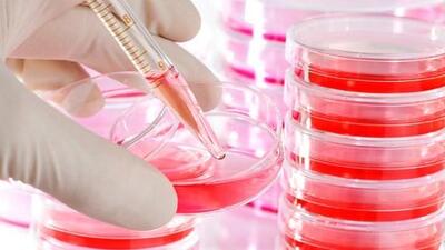 "İlaçlarla tedavi, bazı hastalıklarda kalkacak"