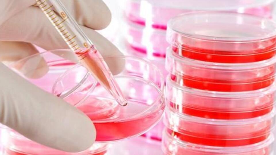 "İlaçlarla tedavi, bazı hastalıklarda kalkacak"