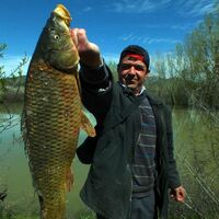 Bu balığı tarlada tuttu!