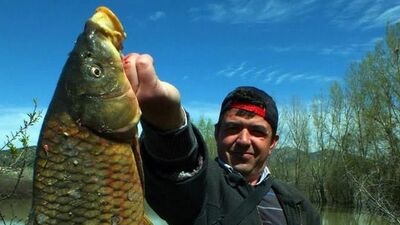 Bu balığı tarlada tuttu!