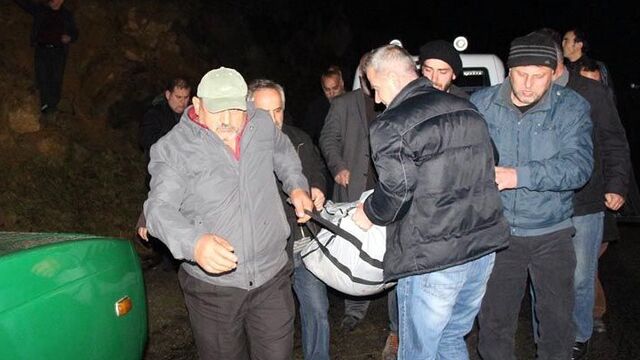 Arılar mı öldürdü?