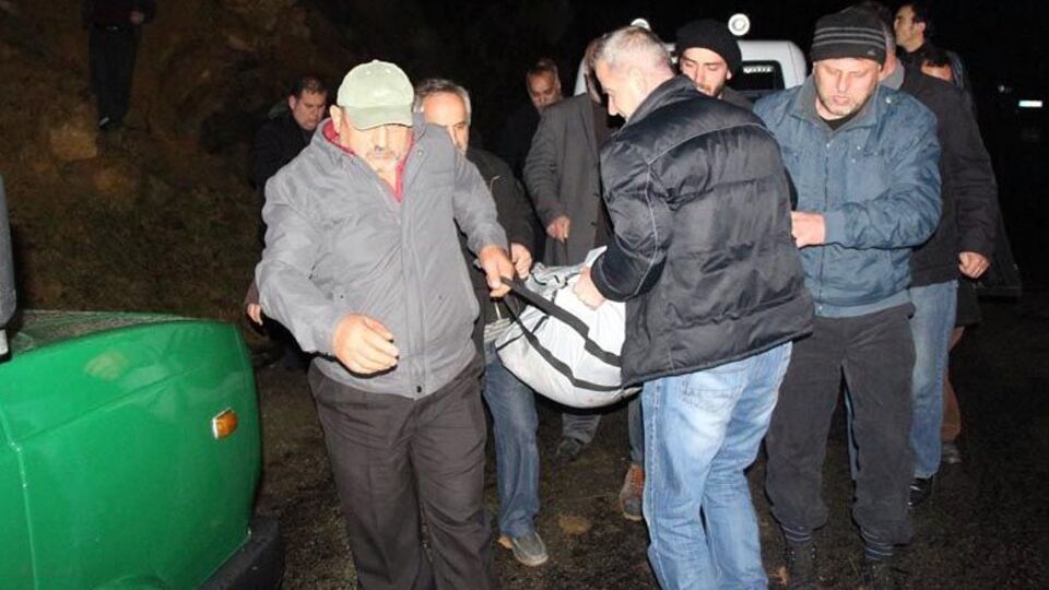Arılar mı öldürdü?