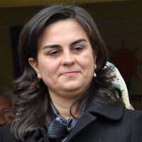 Ak Parti Tülay Babuşçu'ya 'reklam arası' verdi!