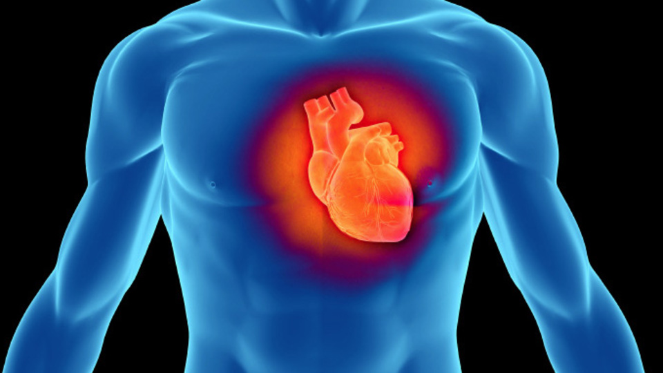 Vücudumuzdaki saatli bomba!