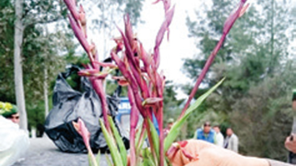 Macar botanikçiye suçüstü