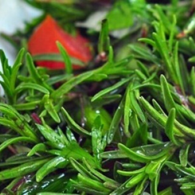 Dünyaya satılacak