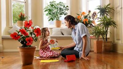 'Alerjisi olanlar evde çiçek yetiştirmesin'