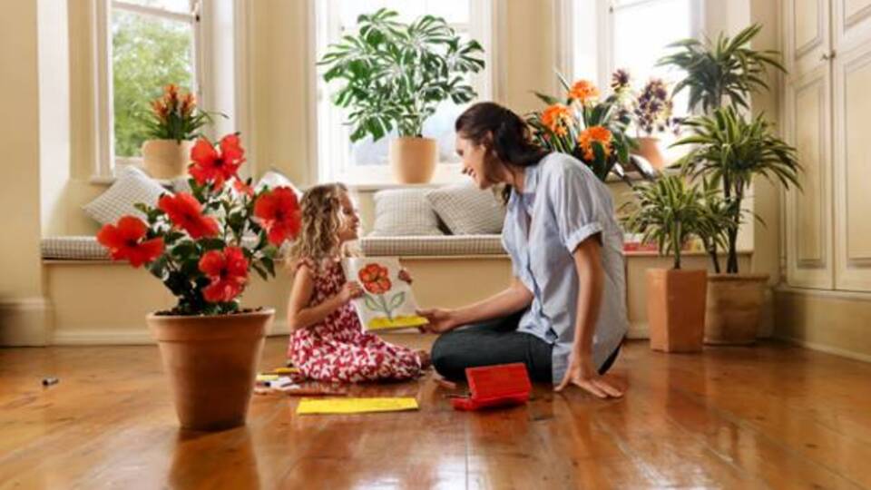 'Alerjisi olanlar evde çiçek yetiştirmesin'