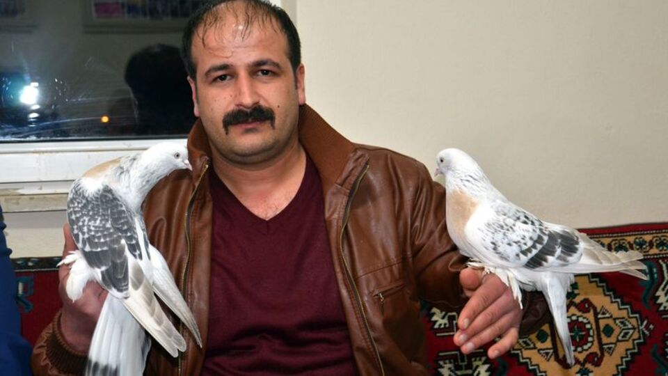 Bir çift güvercin 19 bin TL'den satıldı
