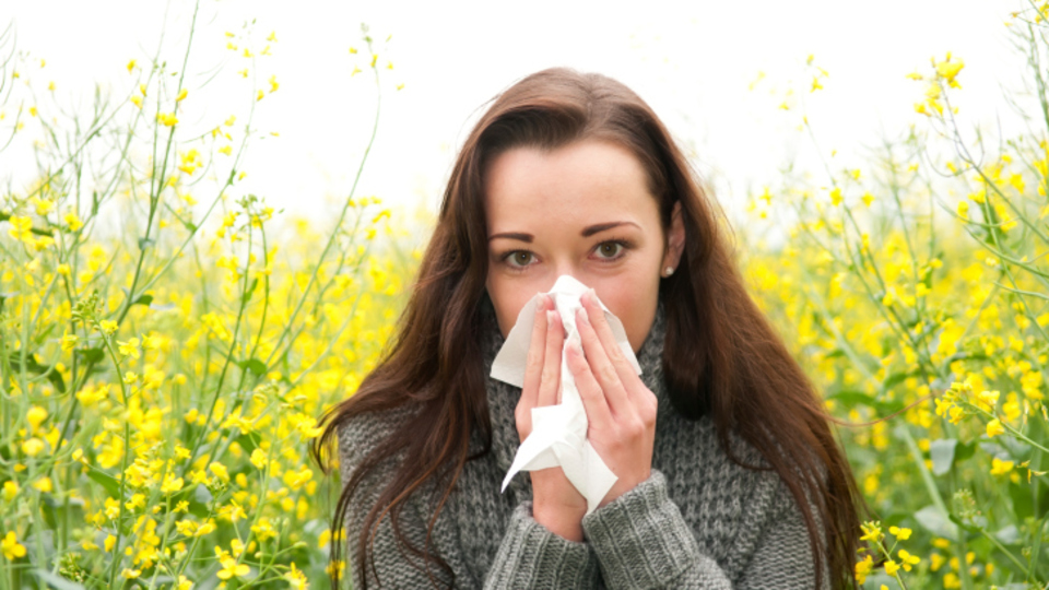 4 milyon kişinin alerjisi var