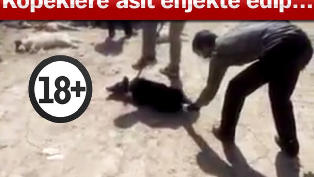 İnsanlığın bittiği an!