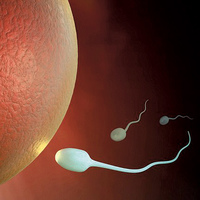 İnsan embriyonunun geni değiştirildi!