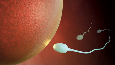 İnsan embriyonunun geni değiştirildi!