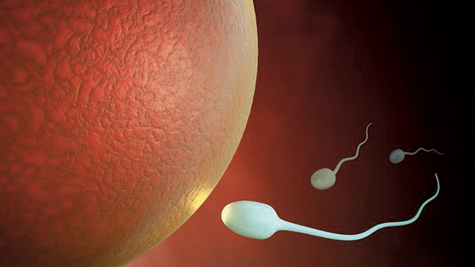 İnsan embriyonunun geni değiştirildi!