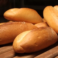 Gerçekten aslanın ağzında!