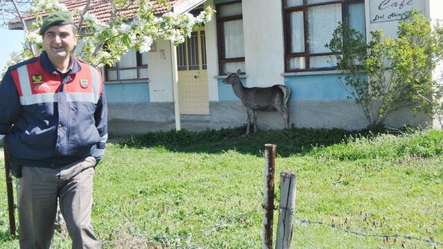 Evine öyle bir misafir geldi ki