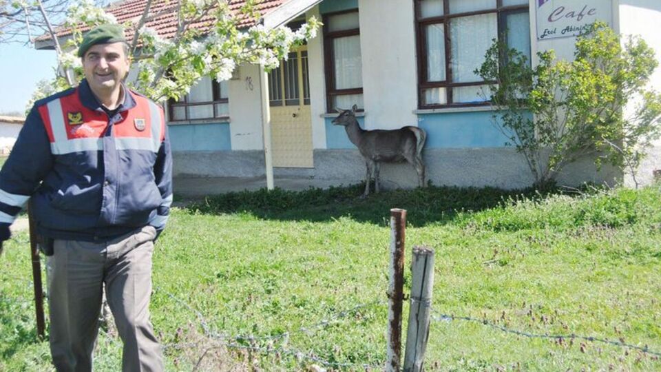 Evine öyle bir misafir geldi ki