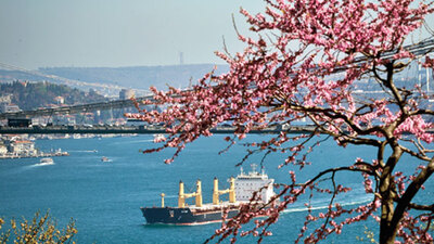 Boğaz'da Erguvan zamanı