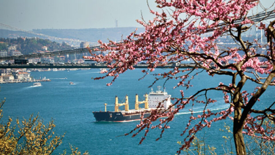 Boğaz'da Erguvan zamanı