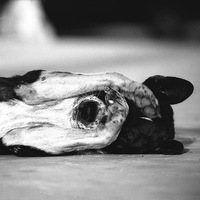 Nedir bu sendromdan çektiğimiz!