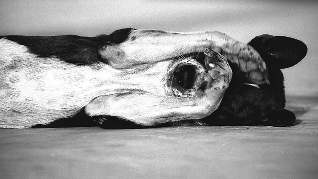 Nedir bu sendromdan çektiğimiz!