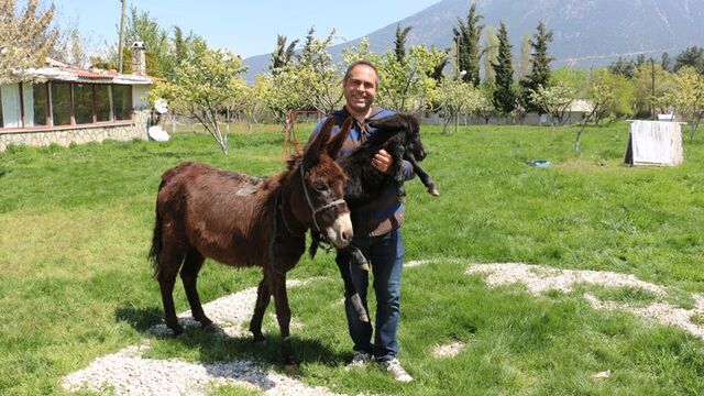 Annesinin tedavisi için eşek almıştı...