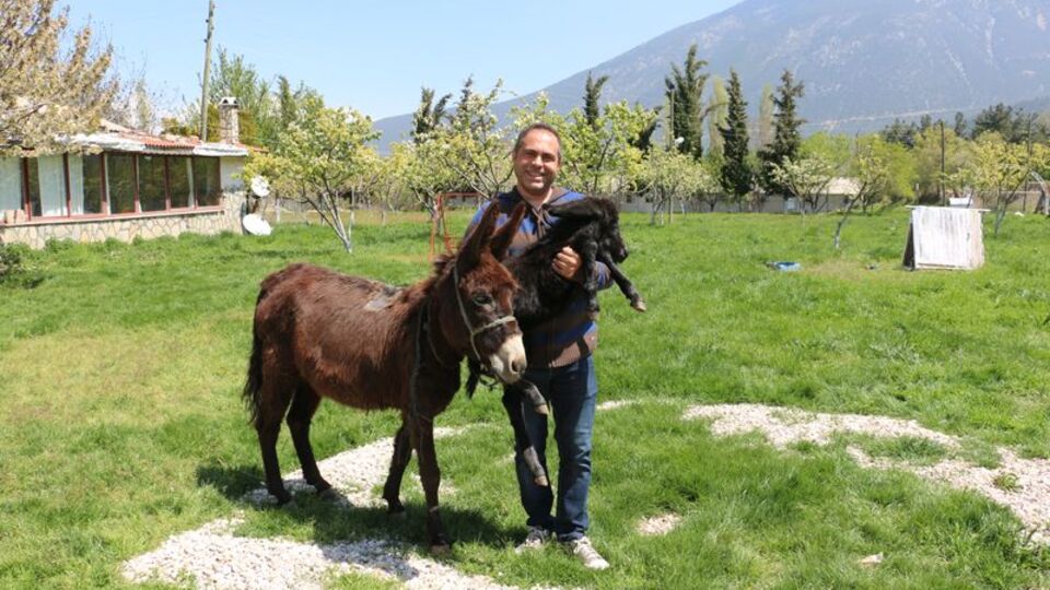 Annesinin tedavisi için eşek almıştı...