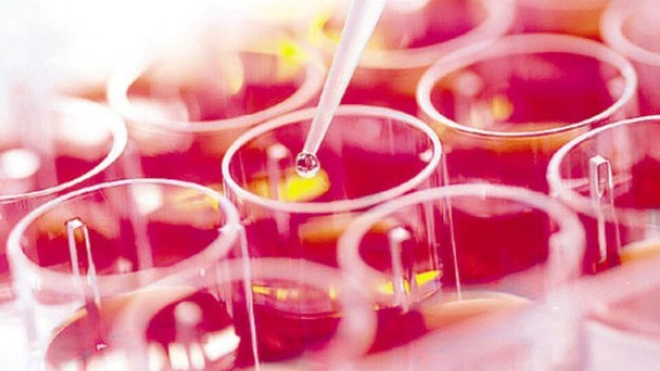 O tedavi artık Türkiye'de!