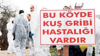Kastamonu’da kuş giribi görüldü