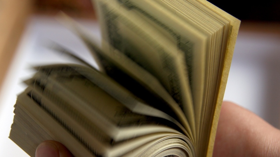 Ankara dolara park etti!