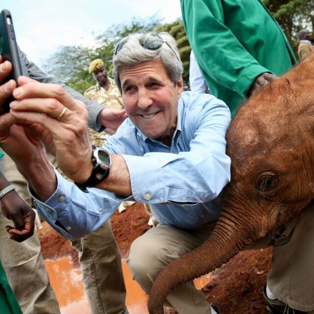 Kerry'den yavru fille selfie